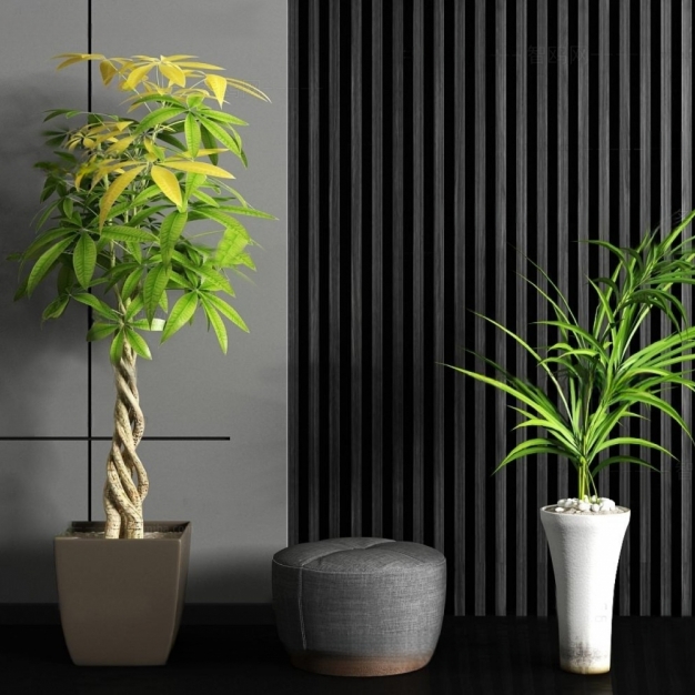 植物盆栽3D模型