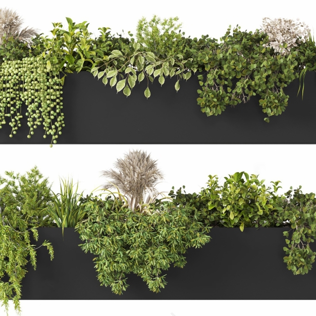 现代植物盆栽 花箱3D模型