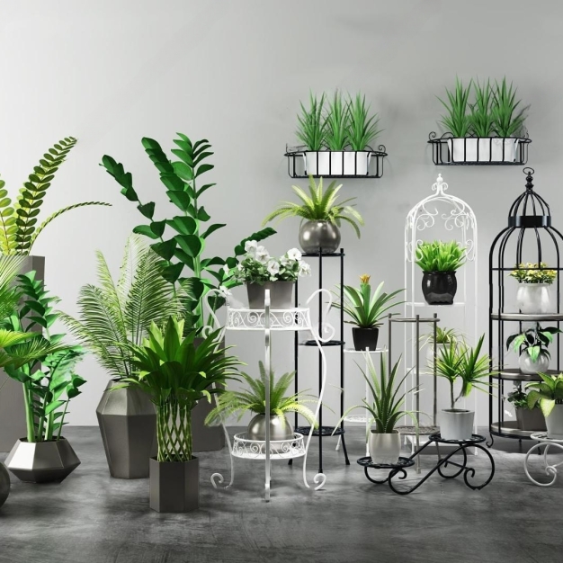 现代植物盆栽 花架3D模型