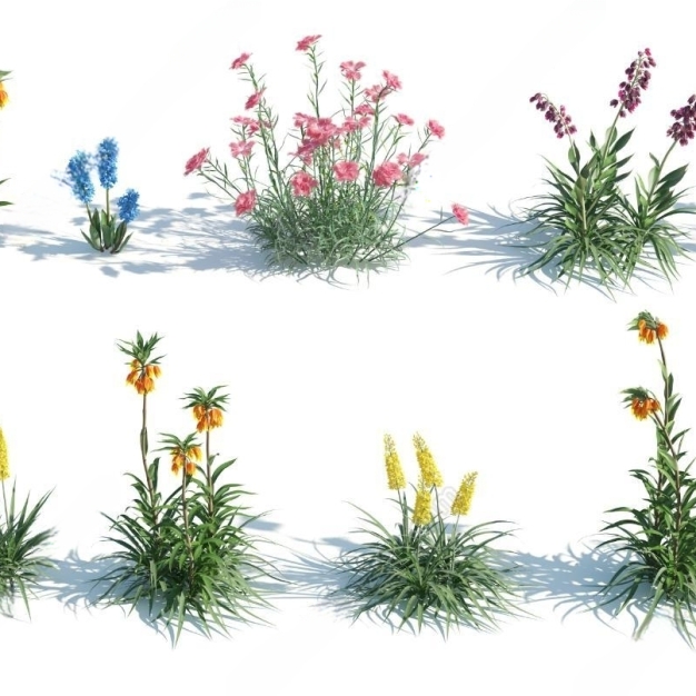 现代花草植物3D模型
