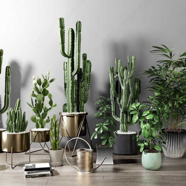 现代植物盆栽3D模型