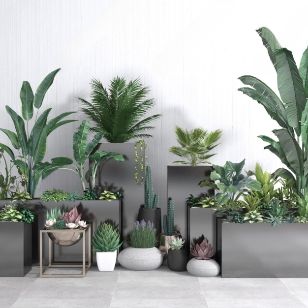 现代植物盆栽3D模型