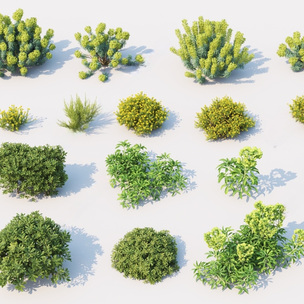 现代灌木植物3D模型