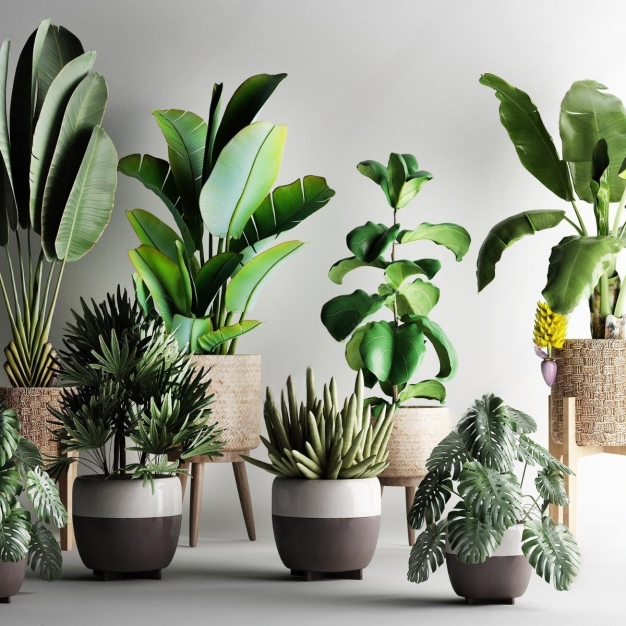 现代植物盆栽3D模型