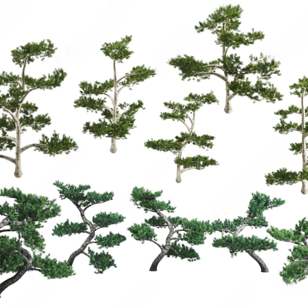 现代松树3D模型
