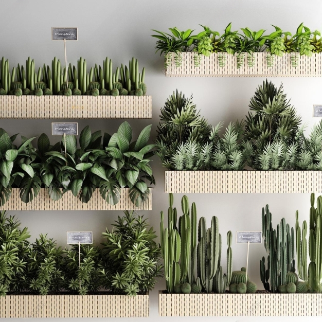 现代植物盆栽3D模型