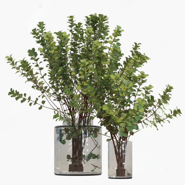 现代植物盆栽3D模型
