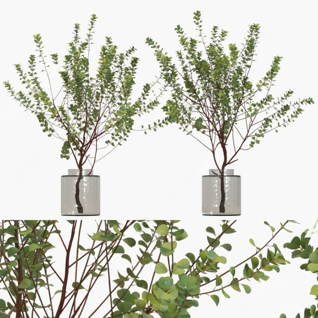 现代植物盆栽3D模型