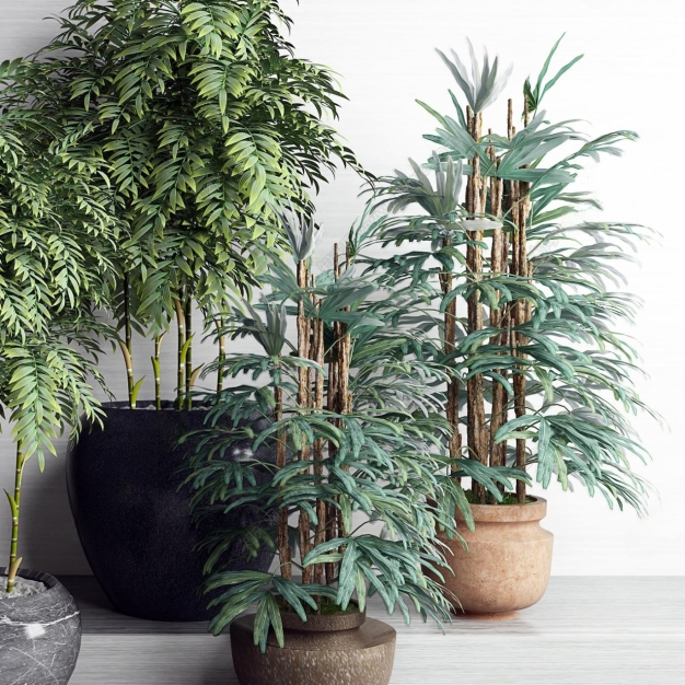 现代植物盆栽3D模型