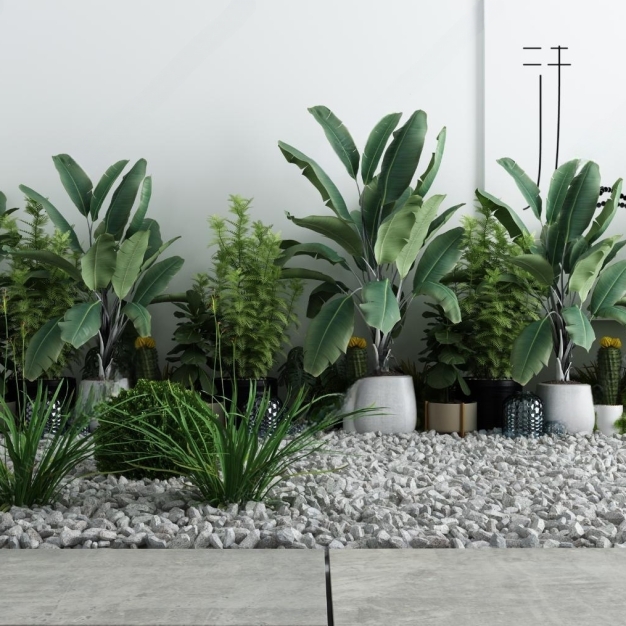 现代植物盆栽3D模型
