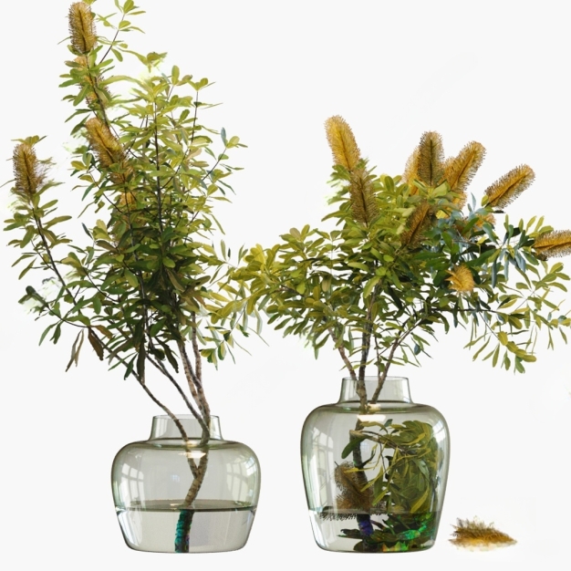 现代植物盆栽3D模型