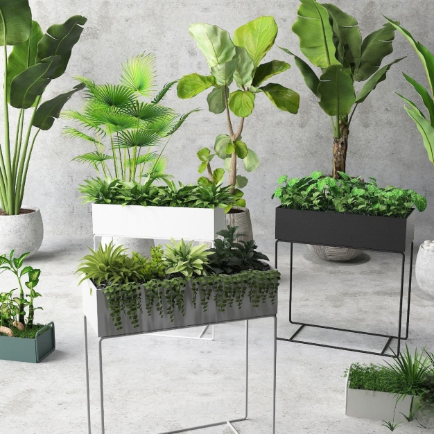 植物盆栽花草花架3D模型