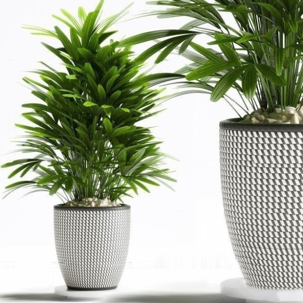 植物盆栽3D模型