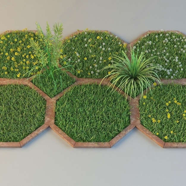 花草植物3D模型