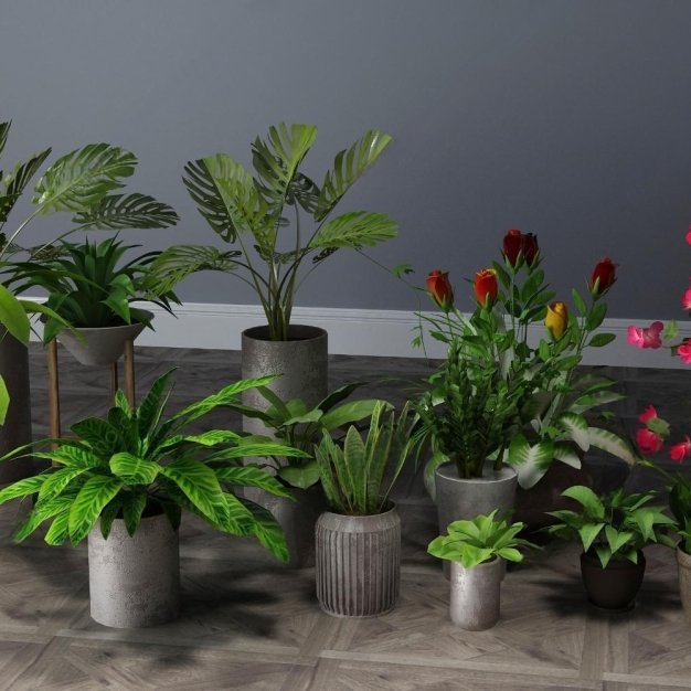 现代植物盆栽3D模型