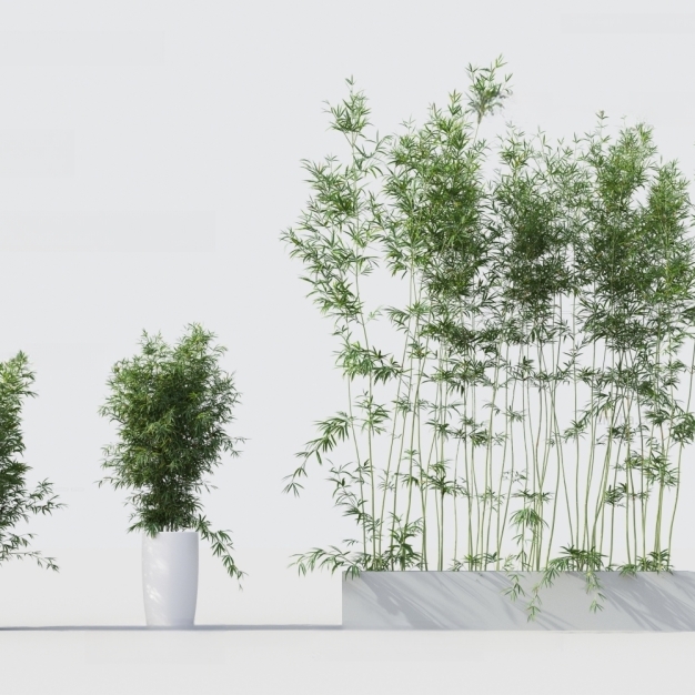 现代竹子3D模型
