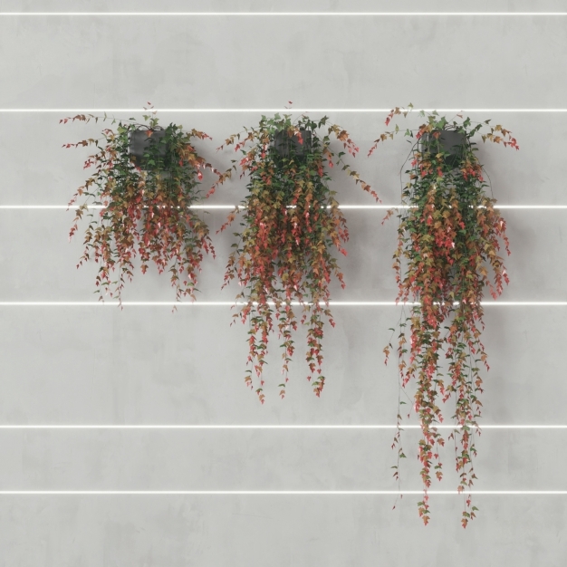 现代植物藤曼3D模型