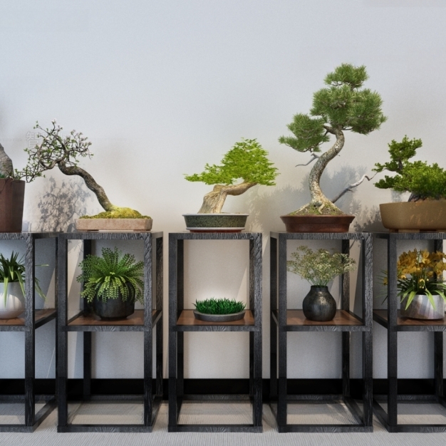 新中式绿植盆栽3D模型