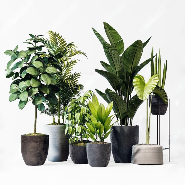 现代植物盆栽3D模型