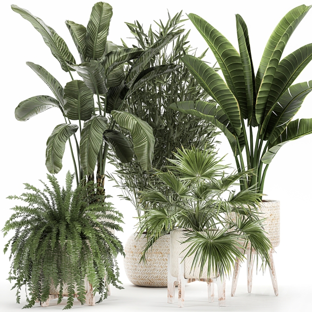 现代植物盆栽3D模型