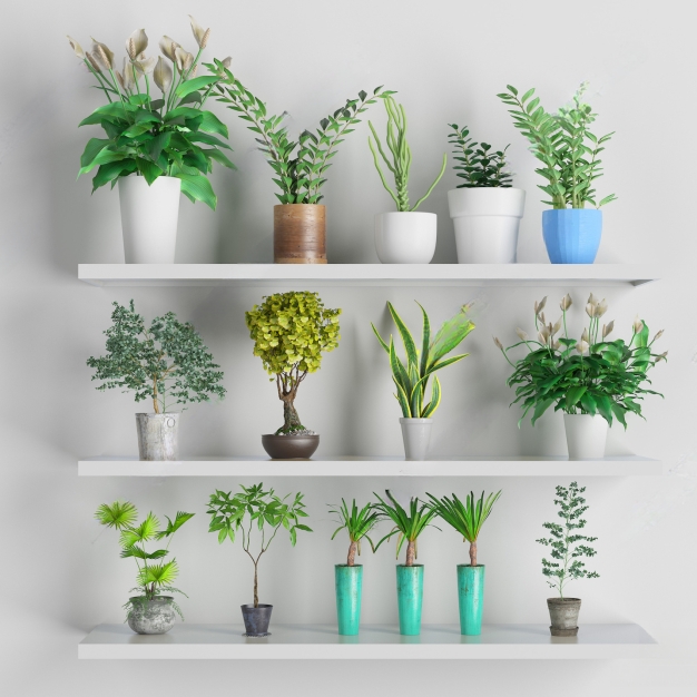 现代植物盆栽3D模型