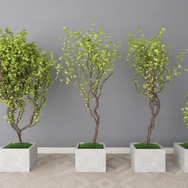 现代植物盆栽3D模型