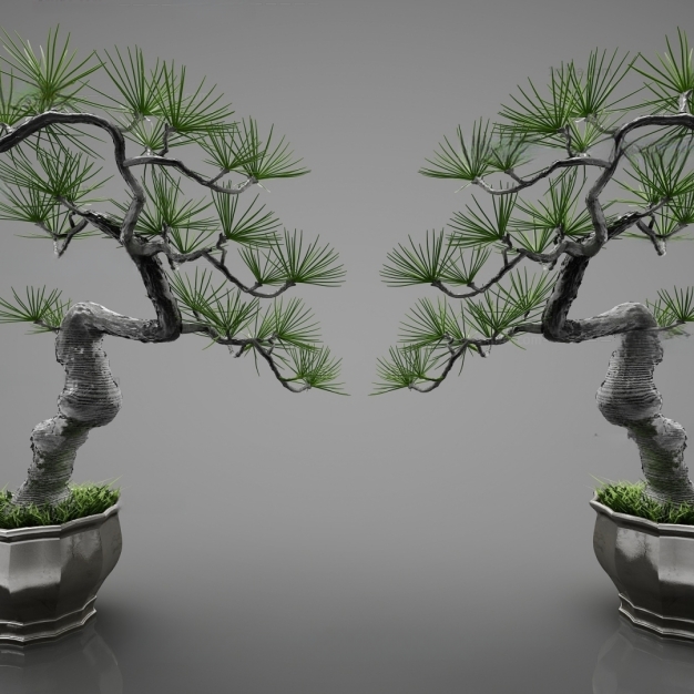 现代植物盆栽3D模型