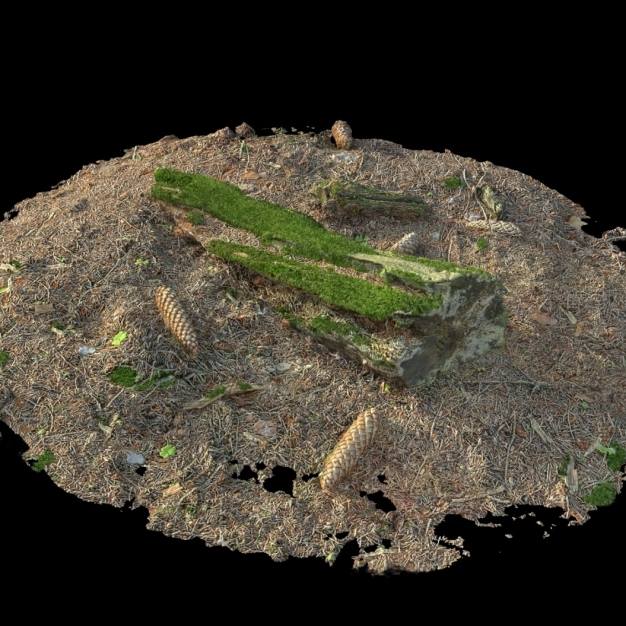 现代树桩3D模型