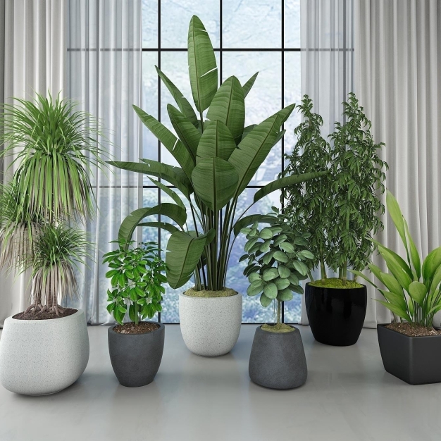 现代植物盆栽3D模型