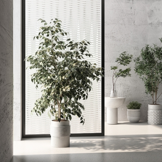 现代绿植盆栽组合3D模型