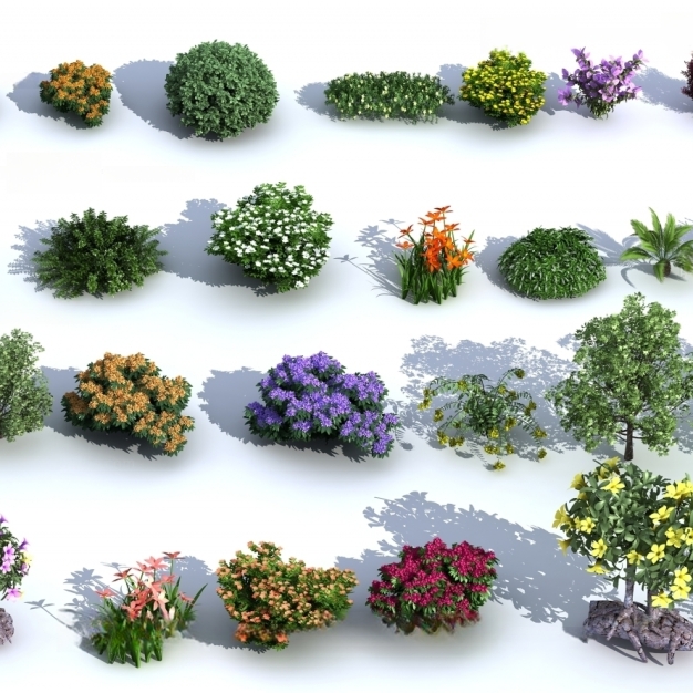 现代灌木植物3D模型