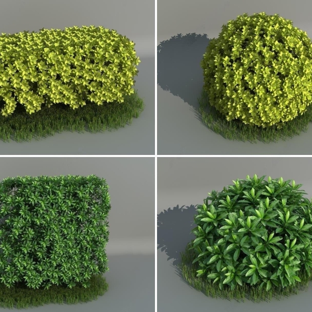 现代灌木3D模型