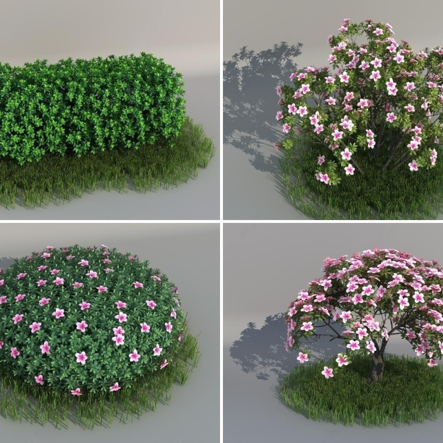 现代灌木植物花卉3D模型