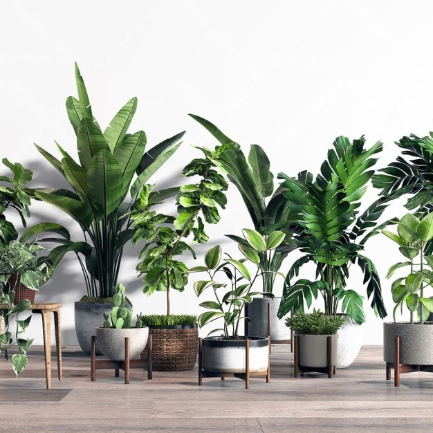 北欧绿植盆栽组合3D模型