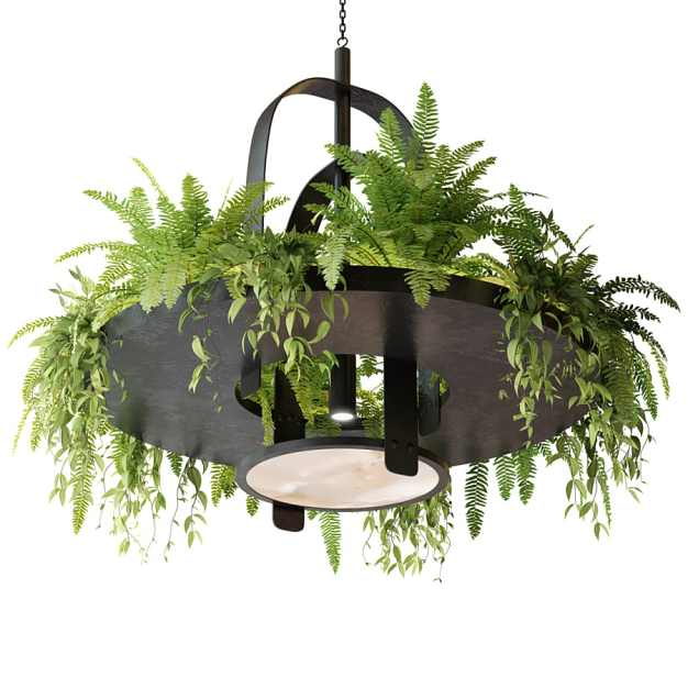 现代绿植吊灯3D模型