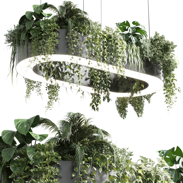 现代绿植装饰吊灯3D模型