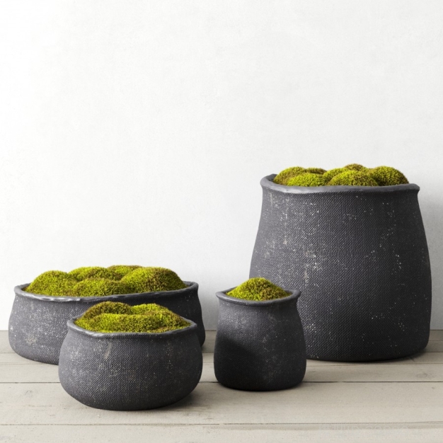 植物盆栽3D模型
