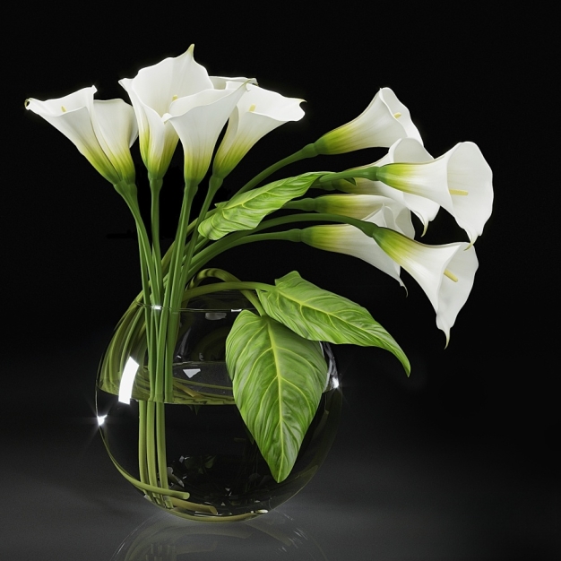 马蹄莲花艺3D模型