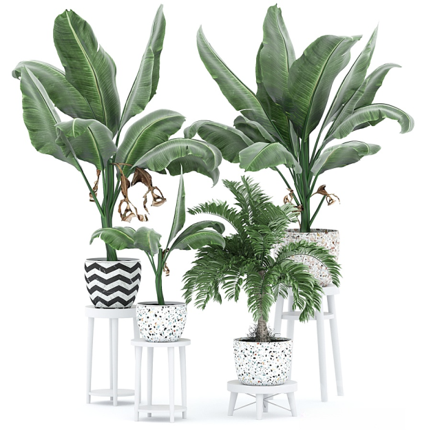 北欧植物盆栽3D模型