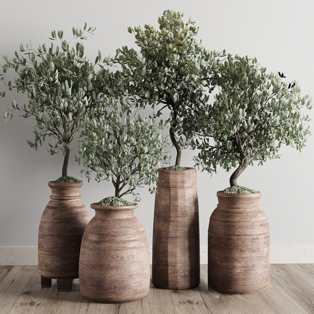 北欧绿植盆栽3D模型