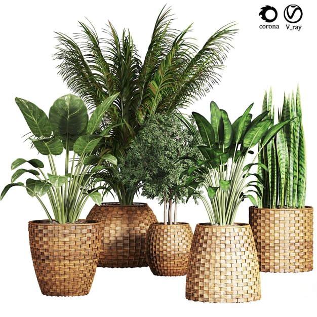 侘寂绿植盆栽3D模型