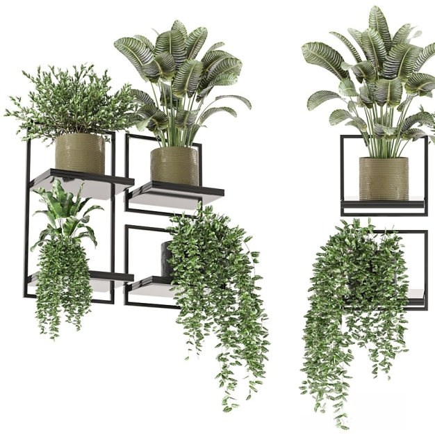 壁挂绿植盆栽3D模型