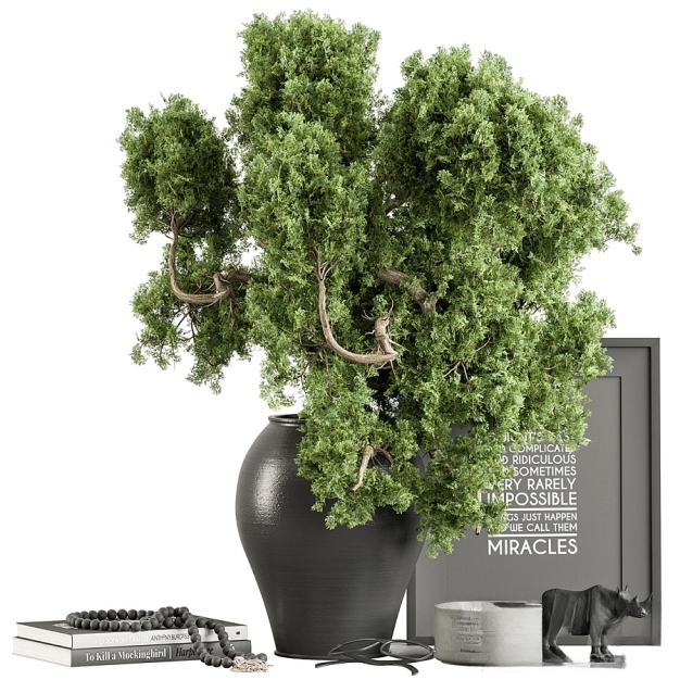 饰品摆件 绿植盆栽3D模型