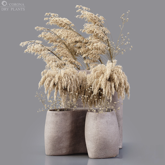 侘寂干花花瓶花艺3D模型