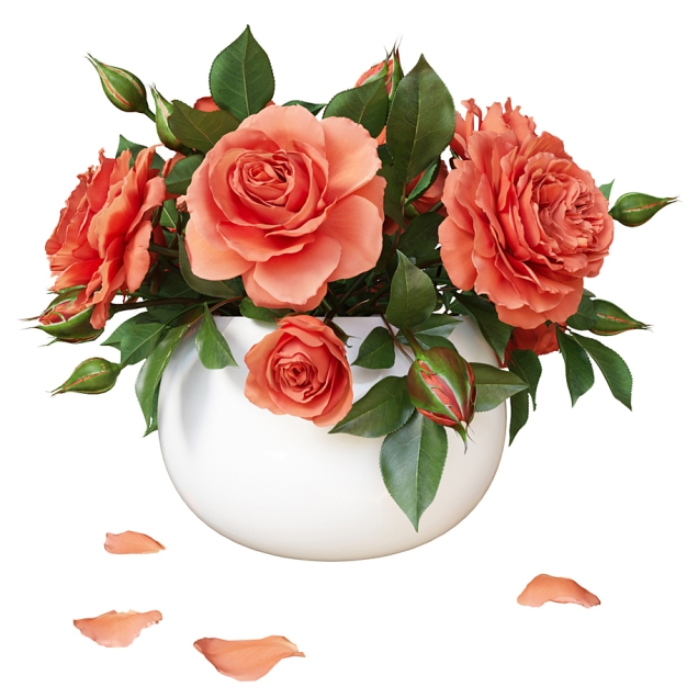 花艺摆件3D模型