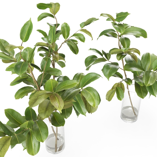 绿植摆件3D模型