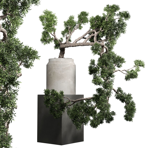 植物盆栽3D模型