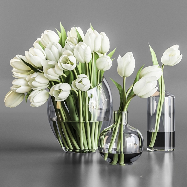 郁金香花3D模型