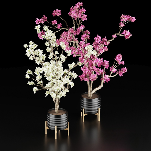 现代桃花植物盆栽3D模型
