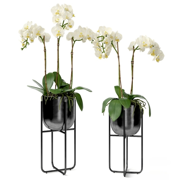 现代植物盆栽3D模型